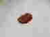 item-38009996=4