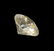 G.I.A. CERTIFIED 5.70 CT ROUND BRILLIANT DIAMOND - 2