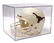 (2) AUTOGRAPHED TEXAS LONGHORN FOOTBALL HELMETS - 5