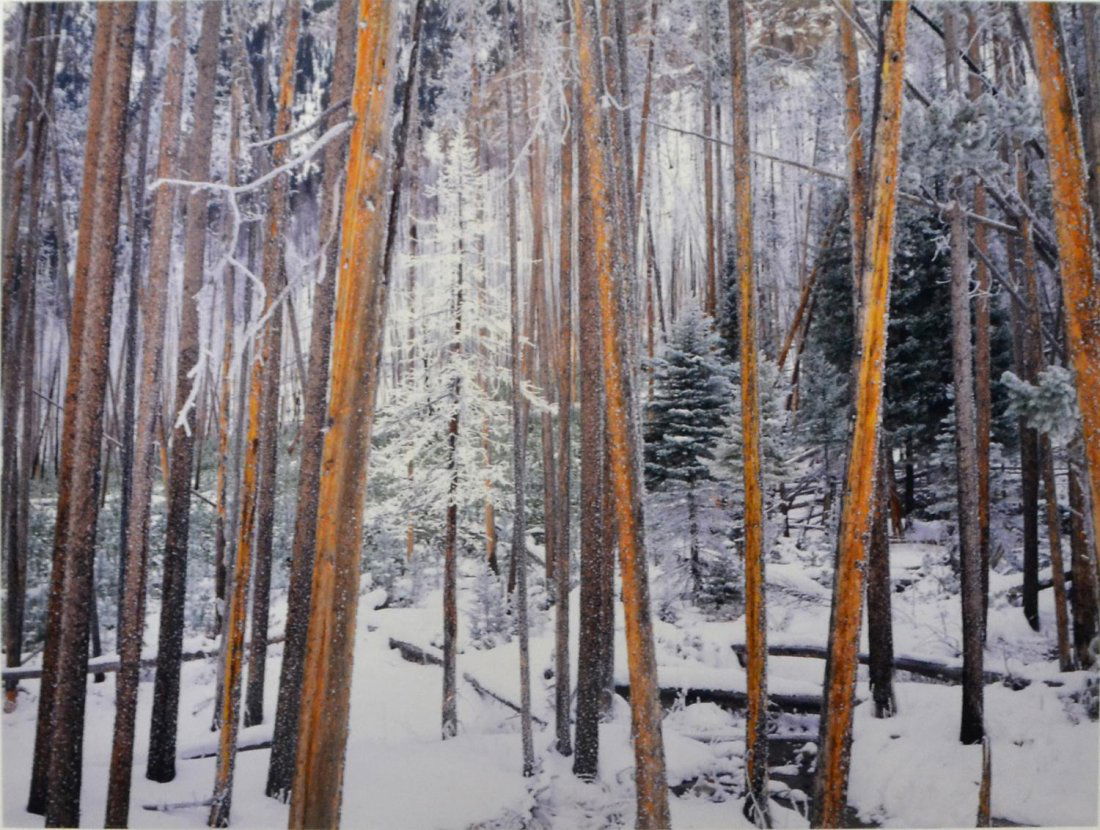 RODNEY LOUGH JR (AMERICAN B. 1960), LARGE PHOTO (1 of 3)