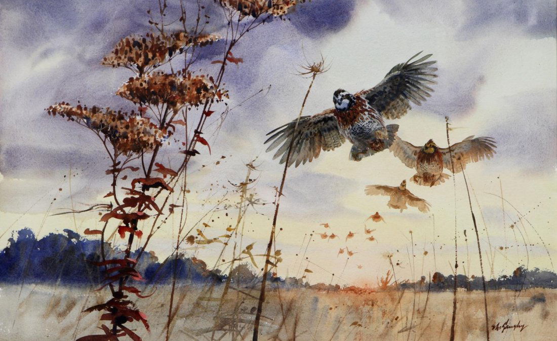 CLAY McGAUGHY (B. 1931),QUAIL IN FLIGHT WATERCOLOR (1 of 4)