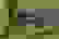 item-43497979=4
