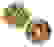 item-44049950=3