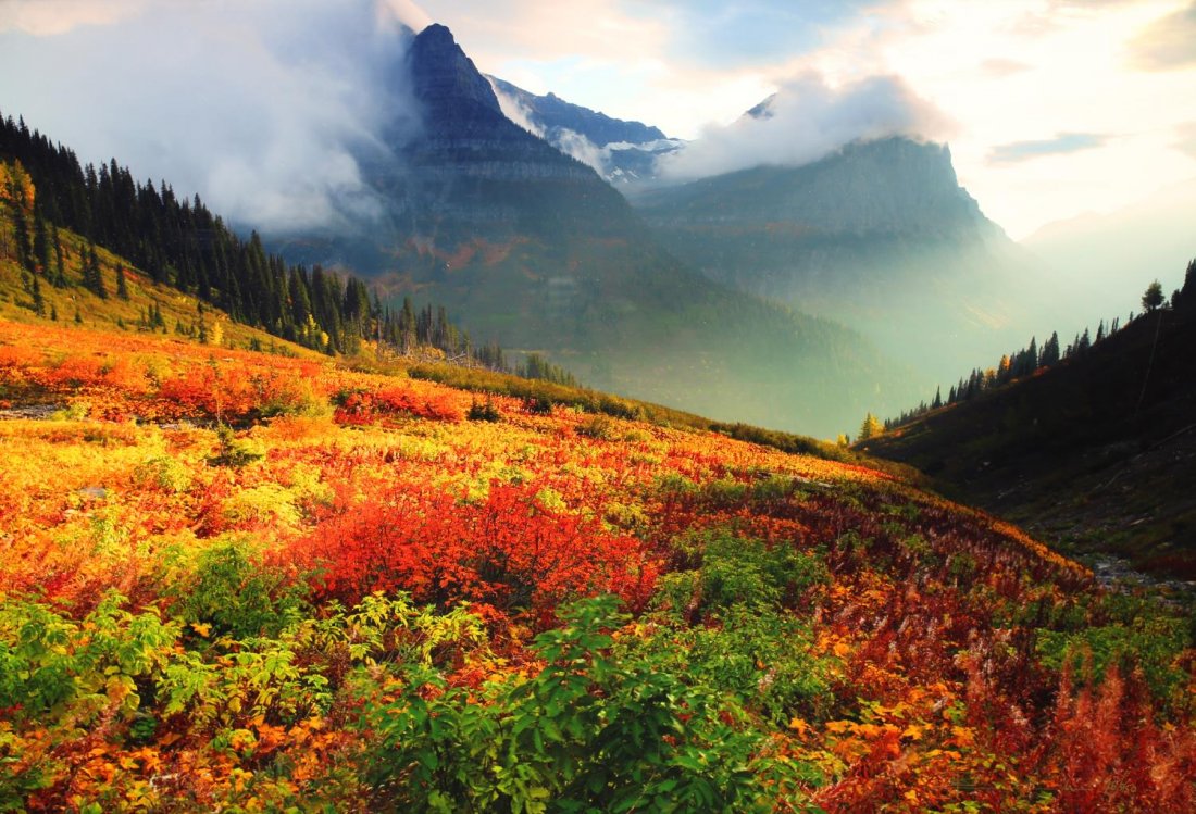 PETER LIK (B. 1959) COLOR PHOTOGRAPH LANDSCAPE: Framed color photograph, Fall Mountain Landscape, signed in gold ink lower right P. Lik (Nevada/Australia, b. 1959), numbered 26/950, sight: 18"h, 26"w, 32"h, 40.25"w, 19lbs Start Price: $800.00