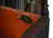 item-46417036=3