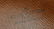 LOUIS VUITTON 'MARLEY DRAGONNE' MONOGRAM CLUTCH - 5