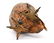 CARL KAUBA (1865-1922) SCARCE PAINTED BRONZE OWL - 5