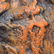 CARL KAUBA (1865-1922) SCARCE PAINTED BRONZE OWL - 8