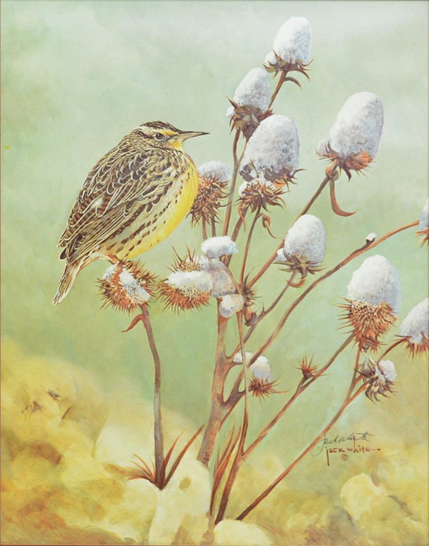 JACK WHITE (TEXAS, B. 1933), COTTON & BIRD PRINT (1 of 4)