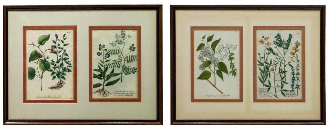 (2) FRAMED COLORED BOTANICAL MEZZOTINTS, WEINMANN (1 of 8)