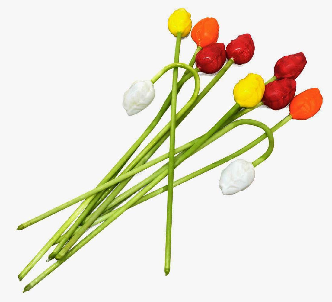 (10) DELICATE HAND BLOWN ART GLASS TULIPS (1 of 2)