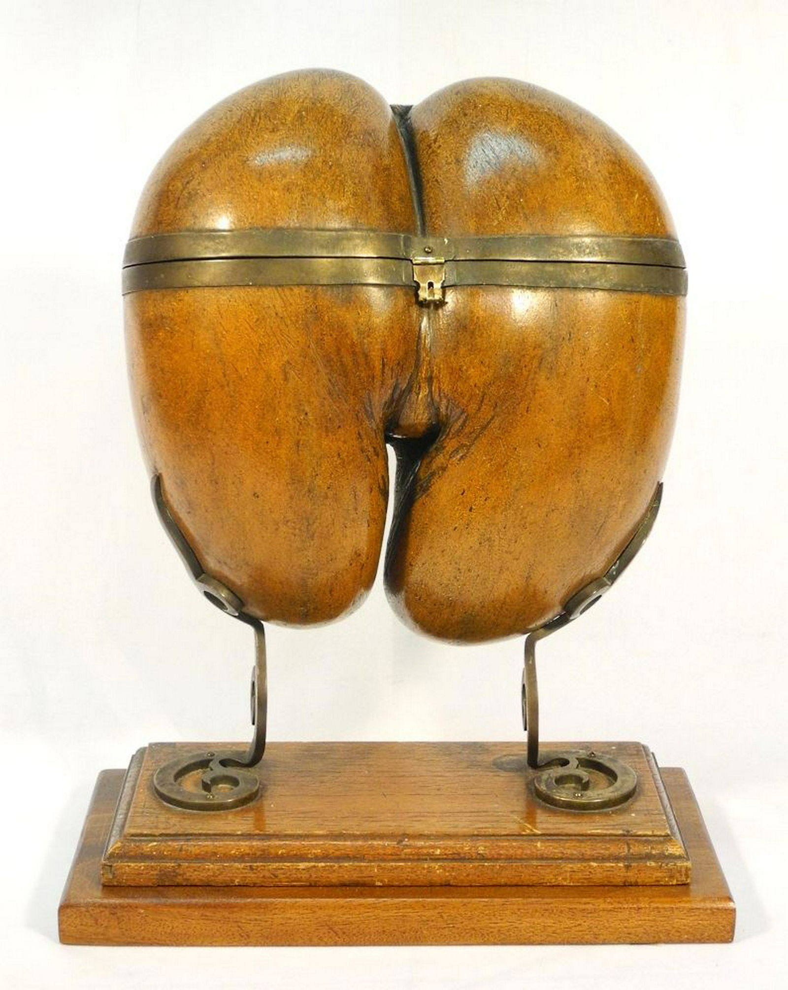 Coco de Mer Tea Caddy mounted with bronze legs, nut (1 of 8)