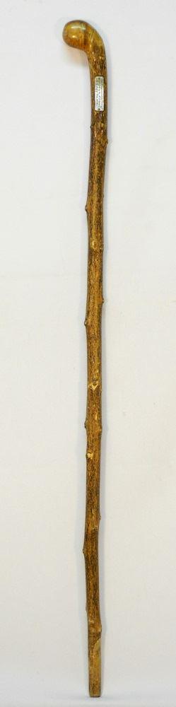 Cane dated and marked July 7th 1874 San Francisco, 33" (1 of 2)