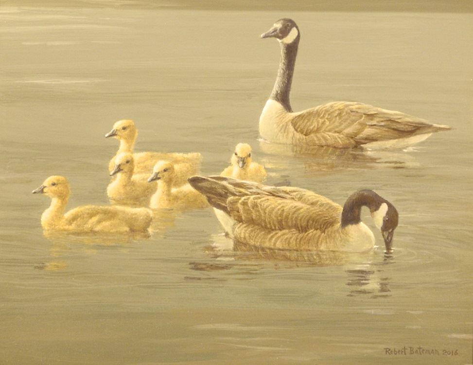 Oil on board signed Robert Bateman 2016, 14" x 18", (1 of 11)
