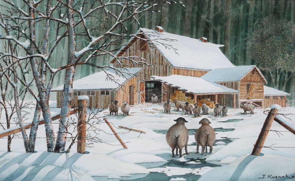 Watercolour signed J. Rusnak, 18" x 29", "Sheep (1 of 5)