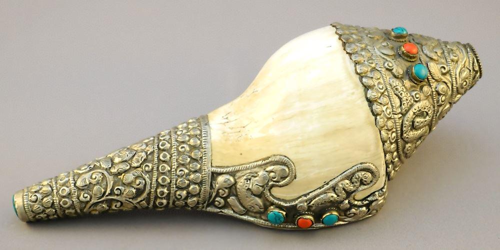 Tibetan Buddhist Conch Shell. (1 of 5)