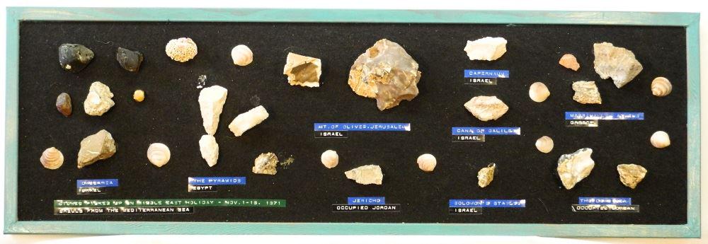 Geological Specimens Mounted on Board, 12" x 36", (1 of 1)