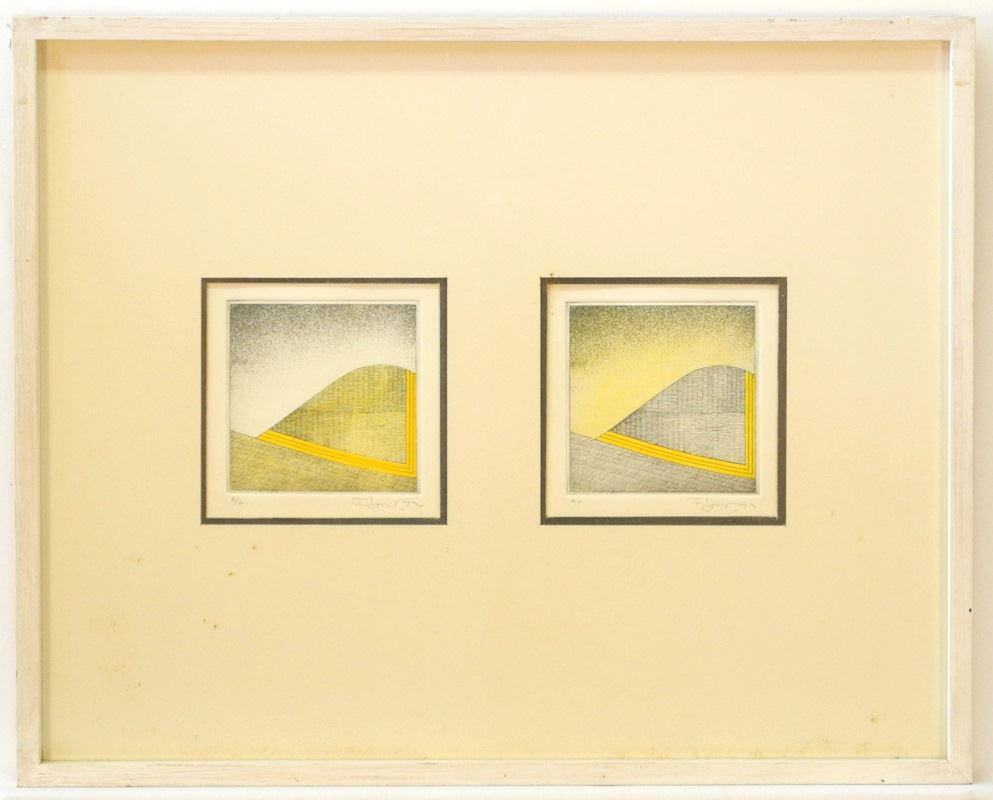 Pair of Hand Coloured Engravings Framed together signed (1 of 1)