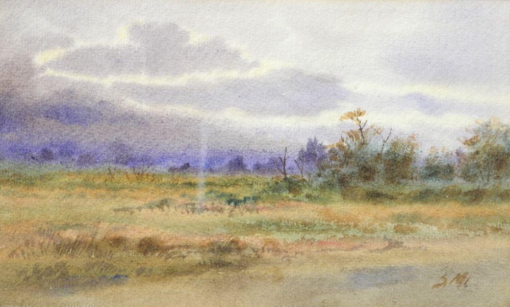 Watercolour monogrammed SM (Samuel McClure), 5" x 8 (1 of 4)