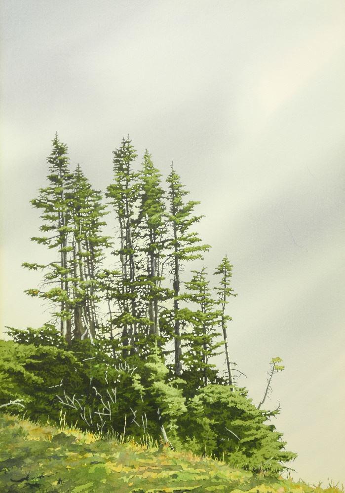 Watercolour signed Simon Camping, 20" x 14", "The (1 of 5)