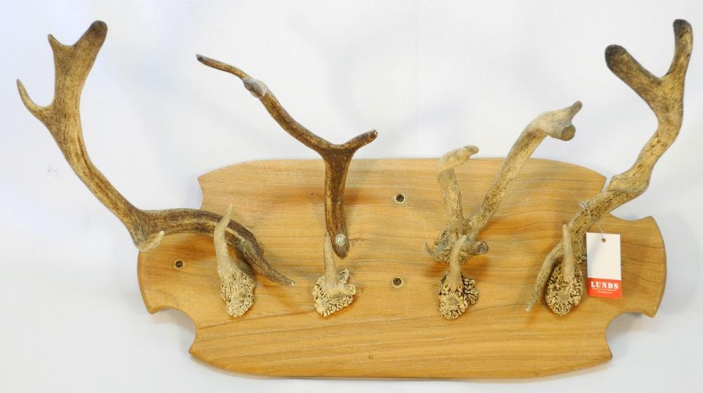 Handcrafted Antler Coat Rack, 24" wide. (1 of 1)