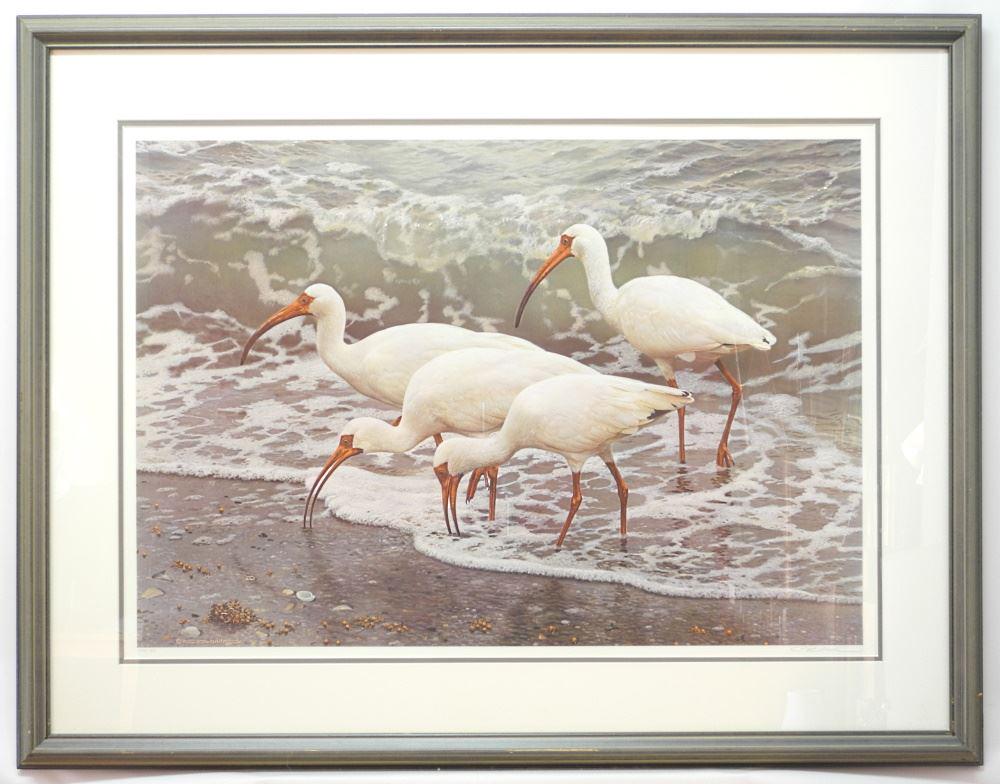 Carl Brenders Print, #343/1950, 23" x 32", "White (1 of 1)