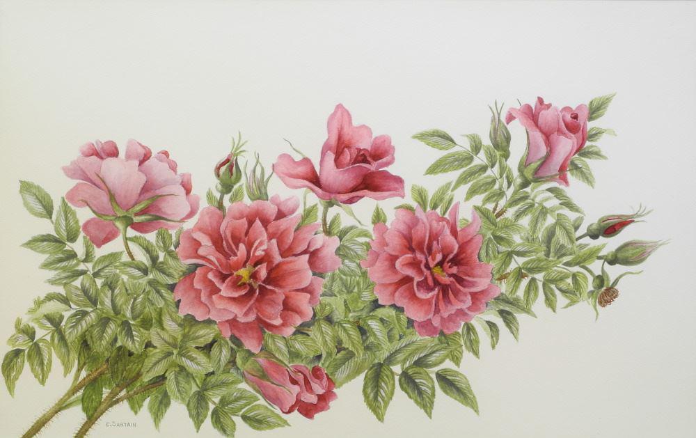 Watercolour signed E. (Emily) Sartain, 12 1/4" x 19 (1 of 4)