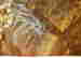 item-125148880=4