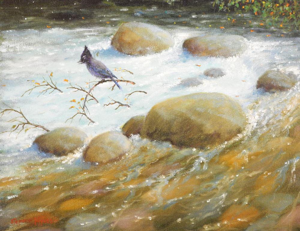 Oil on Canvas Signed Stephen Hynes, 15 1/2" x 19 1/2", "Stellers Jay". (1 of 4)