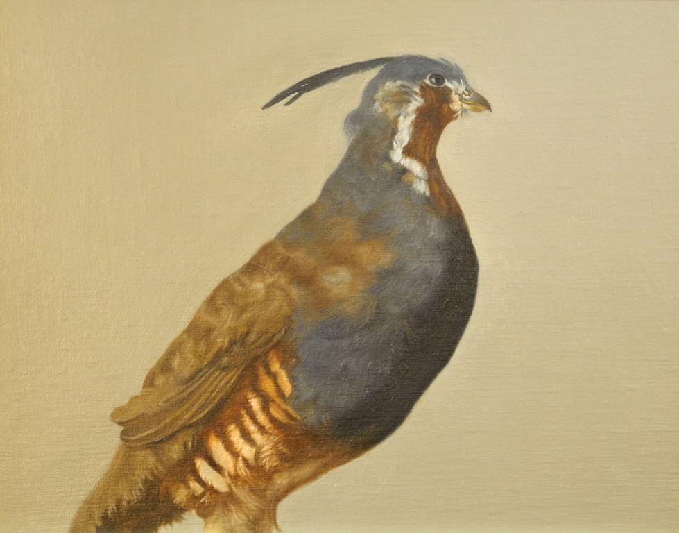 Oil on Canvas Mounted on Board Signed Claudia Weiss 2017 verso, 8" x 10", "Mountain Quail". (1 of 5)