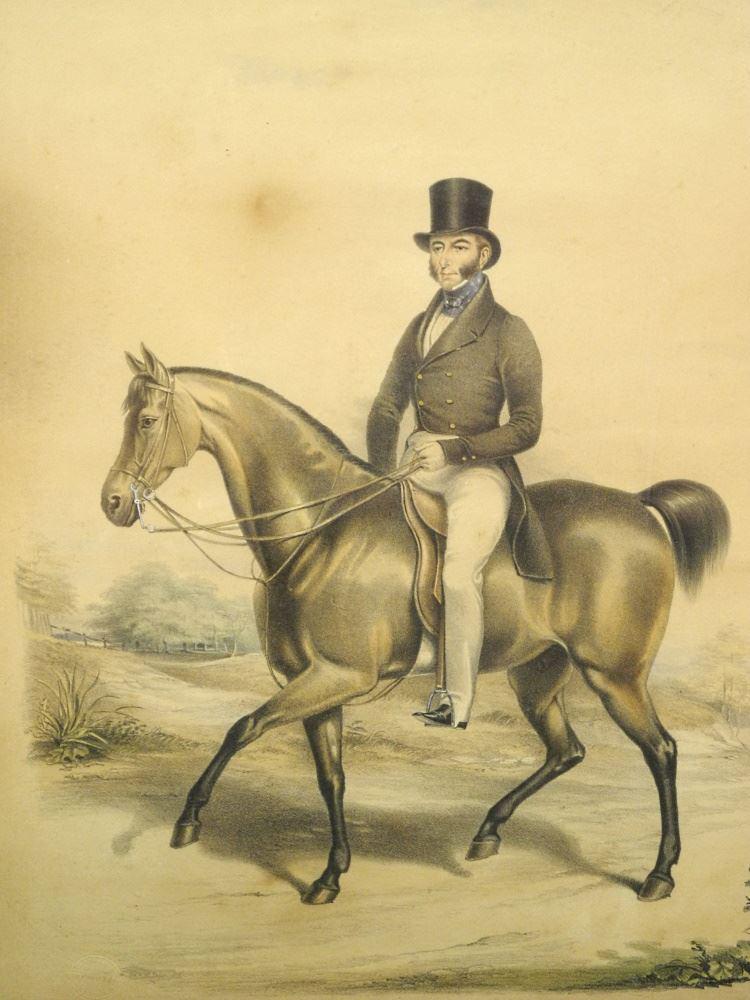 Georgian Lithograph in a Birds Eye Maple Frame, 19" x 15 1/2", "Gent on Horse". (1 of 3)