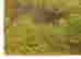 item-131842659=4