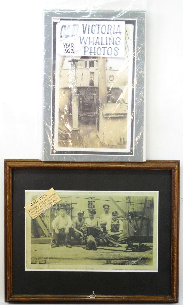 Group of Whaling Photos.: Group of Whaling Photos.