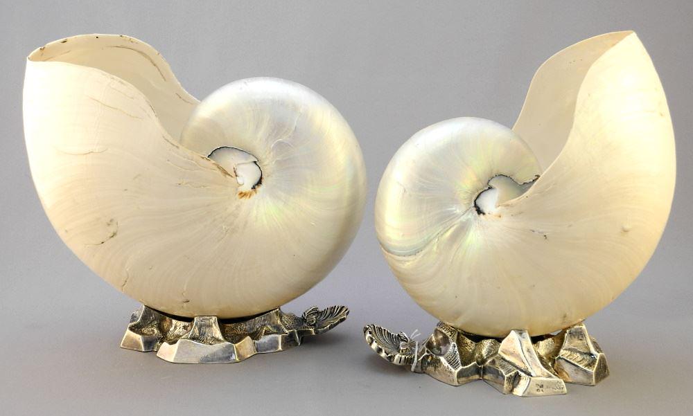 Pair of Nautilus Shells on Elkington & Co. Silver Plated Bases, 7 3/4" & 8" High. (1 of 2)