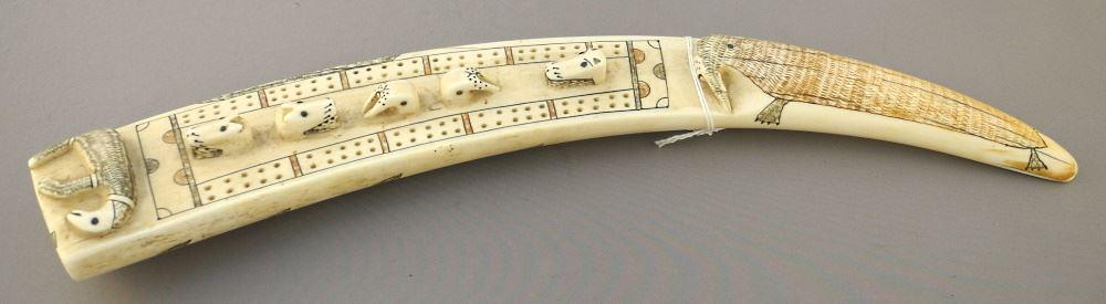 Inuit Carved Walrus Tusk Cribbage Board, 17" Length. NO EXPORT: Inuit Carved Walrus Tusk Cribbage Board, 17" Length. NO EXPORT