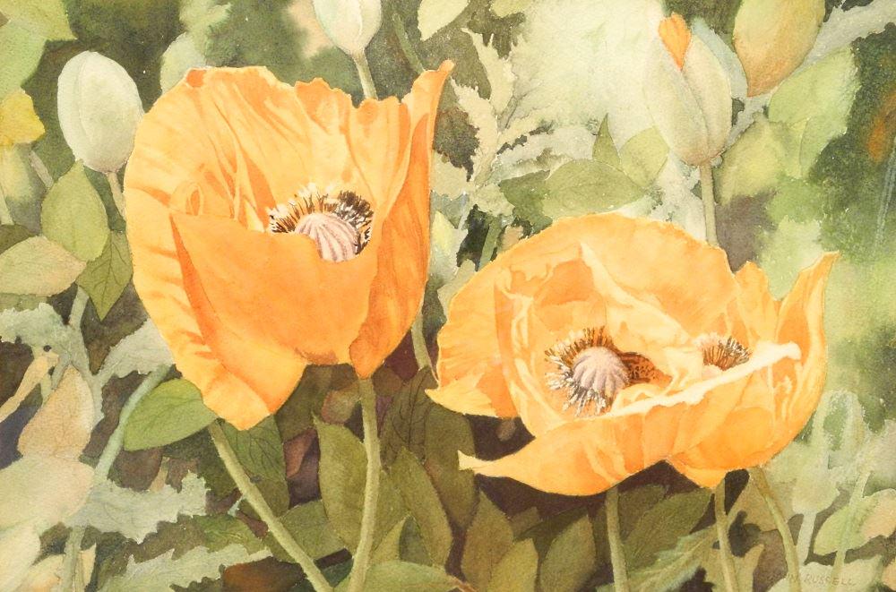 Watercolour signed John Russell, 13 1/4" x 20 1/2", "Poppies". (1 of 4)