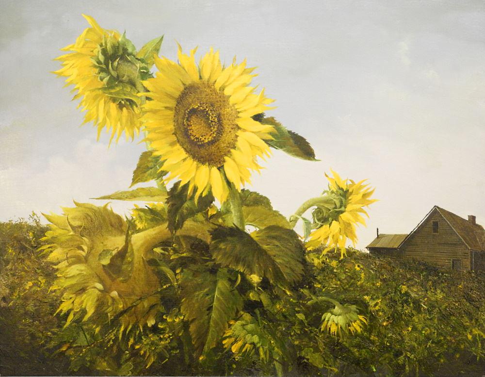Oil on Board signed Geoffrey Rock, 24" x 30", "Mr. Banting's Sun- flowers". (1 of 9)