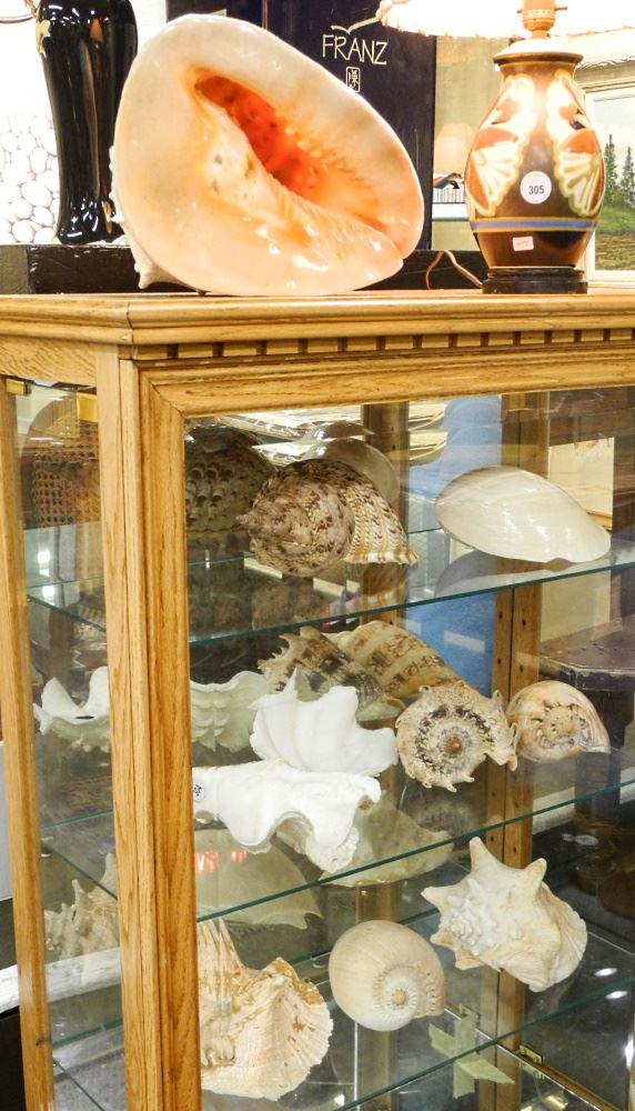 Shell Collection, No Export. (1 of 3)
