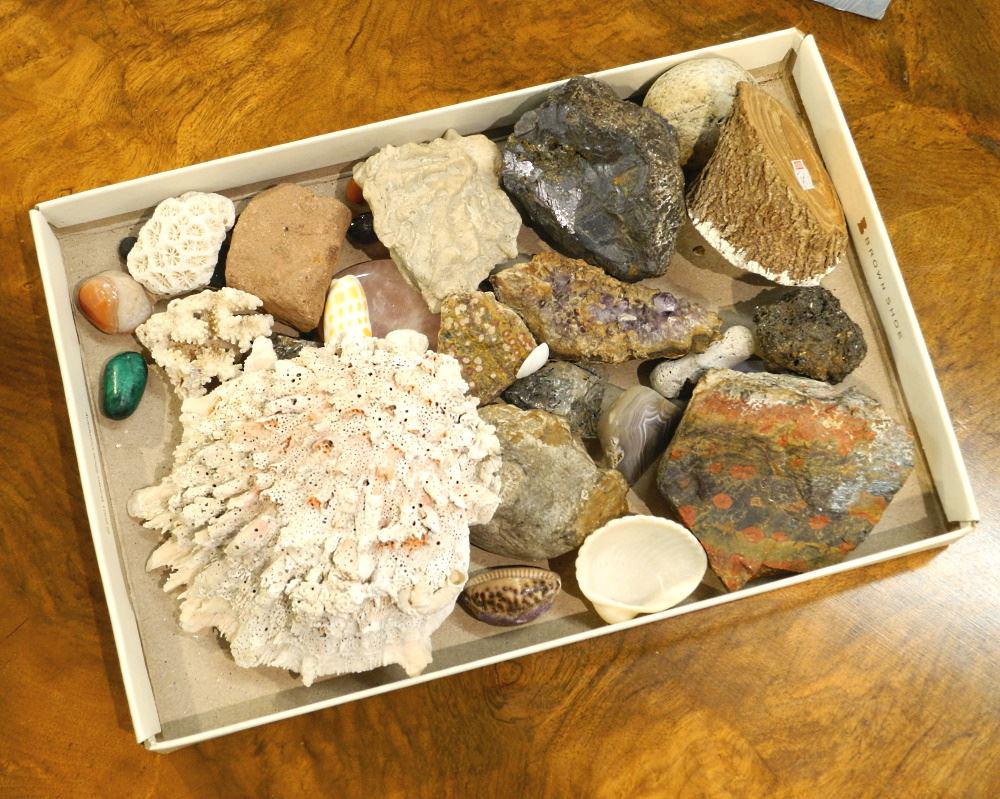 Collection of Semi-Precious Stones/ Shells & Fossils: Amethyst/ Agate/ Turquoise & Quartz. (1 of 1)