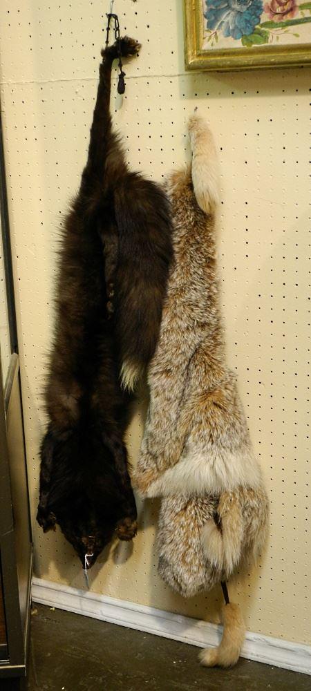 2 Fur Stoles, 50" & 33" Length. (1 of 1)