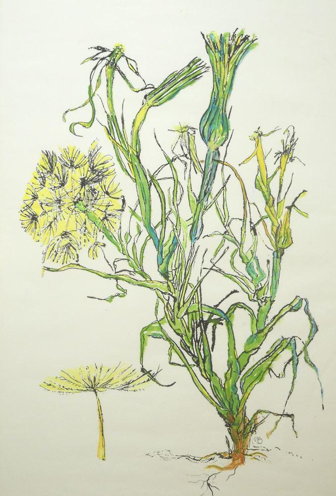 Mixed Media Initialed Mary Plumb Blade, Botanical Style of Dandelion 39 1/2" x 25 1/2". (1 of 3)