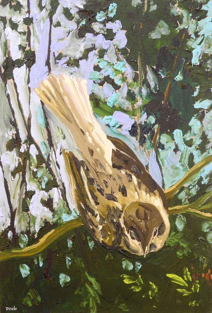 Acrylic on Canvas Signed David Leslie Poole, "Near Flight" 22 3/4" x 15". (1 of 6)