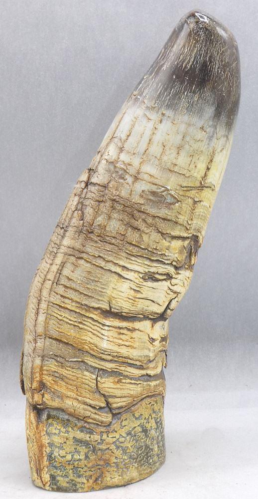 Tibetan Libation Horn Sculpture, 8" high, 20th C.: Tibetan Libation Horn Sculpture, 8" high, 20th C.