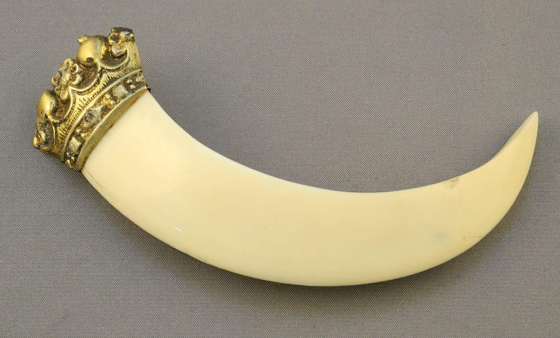 Boar Tusk Pin with Silverplate Crown, 4" H.: Boar Tusk Pin with Silverplate Crown, 4" H.