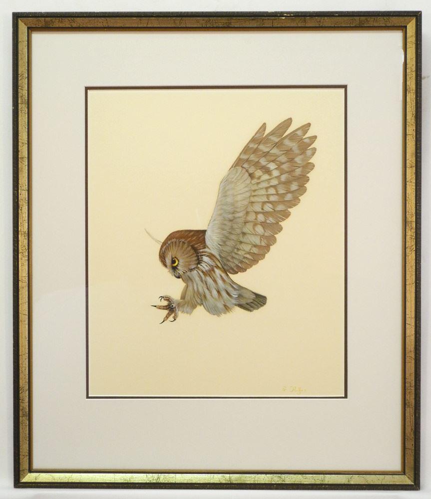 Egg Tempera on Paper Signed (Luke) Raffin, "Predatory Owl" 17 3/4" X 25 3/4". (1 of 5)