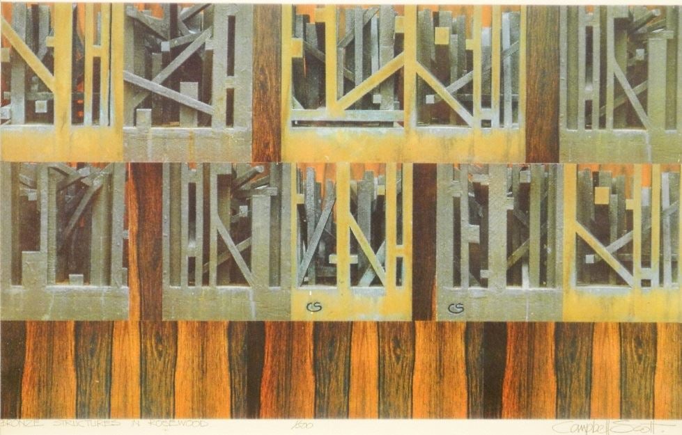 Photographic print signed Campbell Scott #1/500, 10 3/4" x 16", "Bronze Structures in Rosewood".: Photographic print signed Campbell Scott #1/500, 10 3/4" x 16", "Bronze Structures in Rosewood".