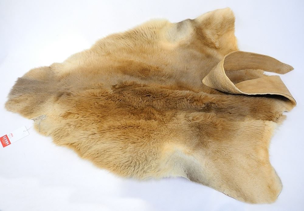 Australian Kangaroo Fur, 64"L.: Australian Kangaroo Fur, 64"L.