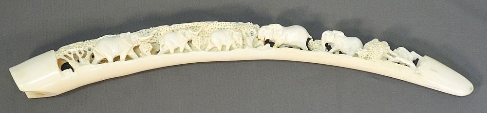 South African Carved Tusk, 20 1/2"L, NO EXPORT, Acquired late 1970's.: South African Carved Tusk, 20 1/2"L, NO EXPORT, Acquired late 1970's.