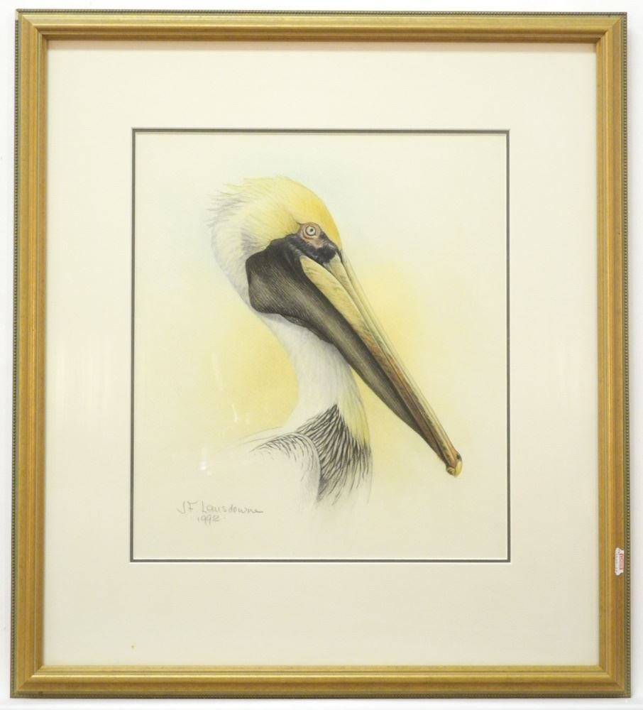 Watercolour signed J.F. Landsdowne 1992, 13 1/2" x 11 1/2", "Pelican". (1 of 8)