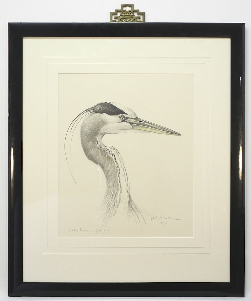 Graphite and Watercolour signed J.F. Landsdowne 1990, "Cormorant". (1 of 8)